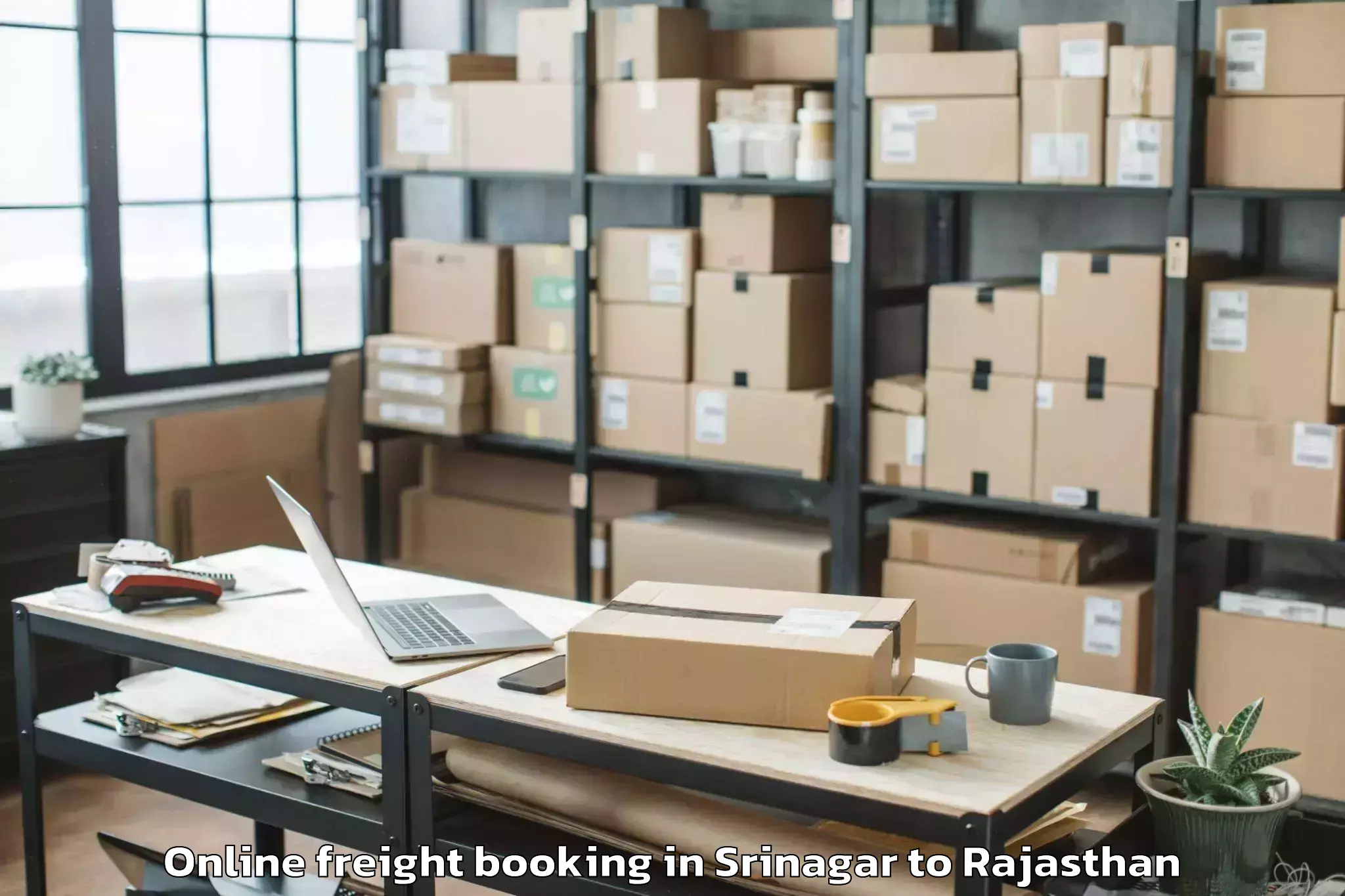 Trusted Srinagar to Bari Sadri Online Freight Booking